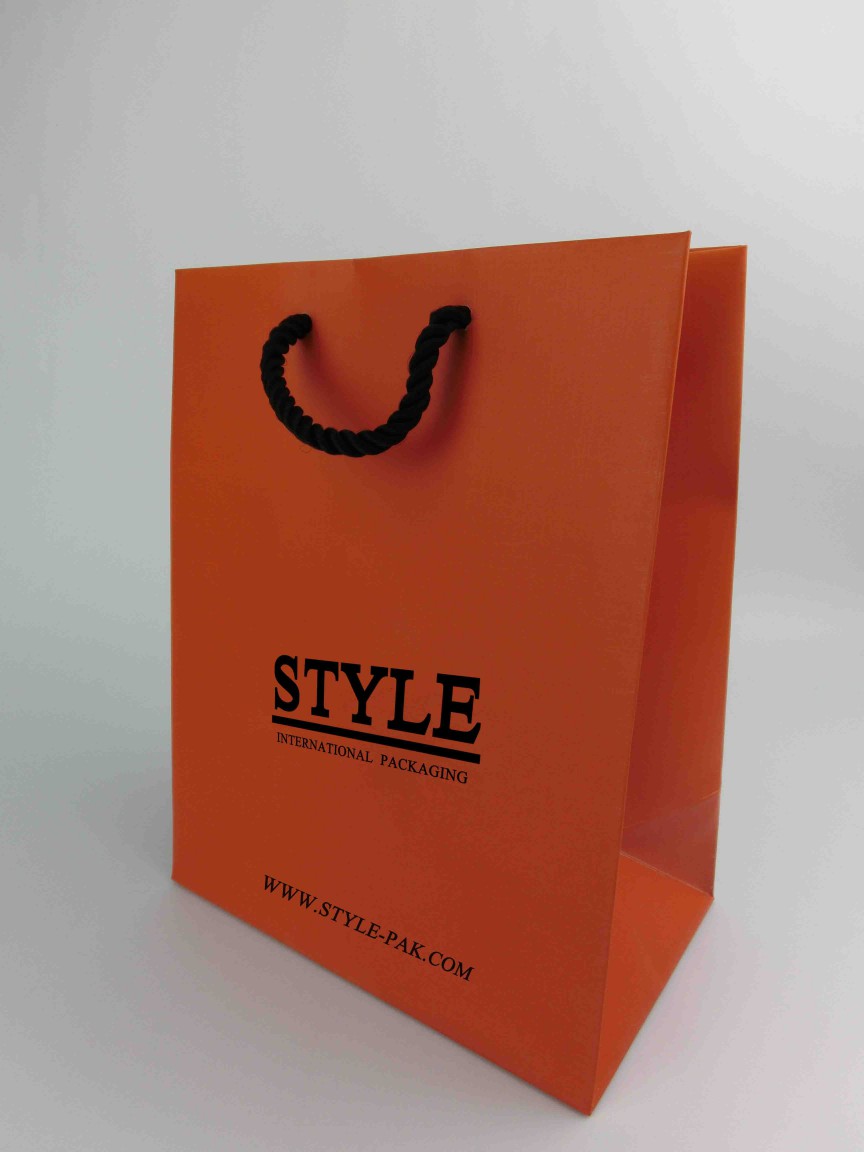 Paper bag ST362