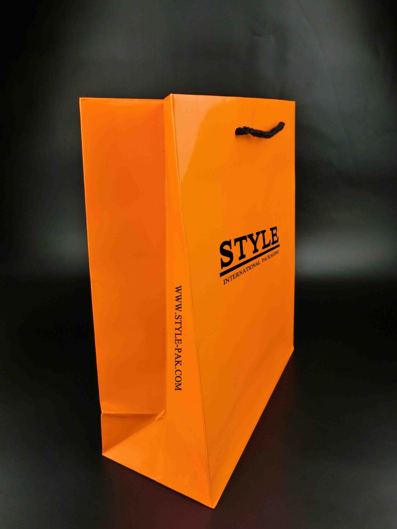Paper bag ST361
